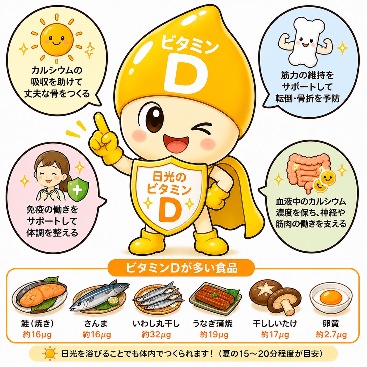 ビタミンD完全ガイド｜骨と筋力を支える「日光のビタミン」