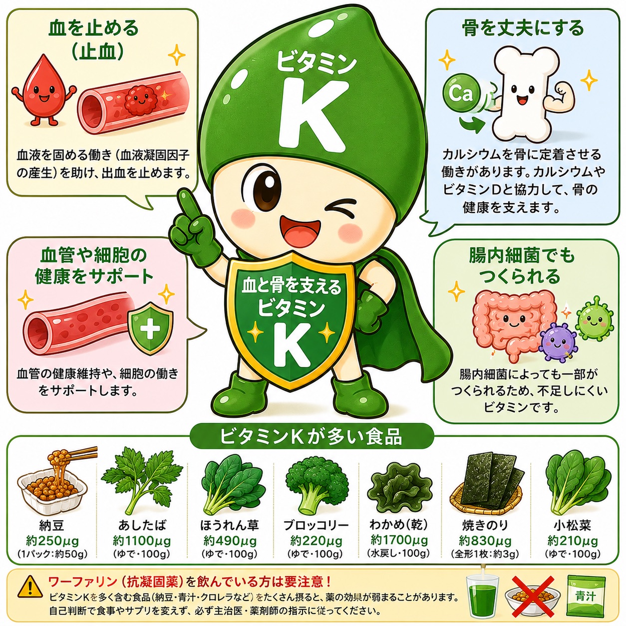 ビタミンK完全ガイド｜血を止め、骨を支えるビタミン｜効果・必要量・おすすめ食材と注意点を徹底解説