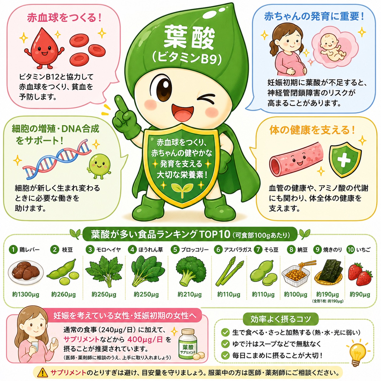 葉酸完全ガイド｜血液と赤ちゃんを守るビタミン｜効果・必要量・おすすめ食材を徹底解説