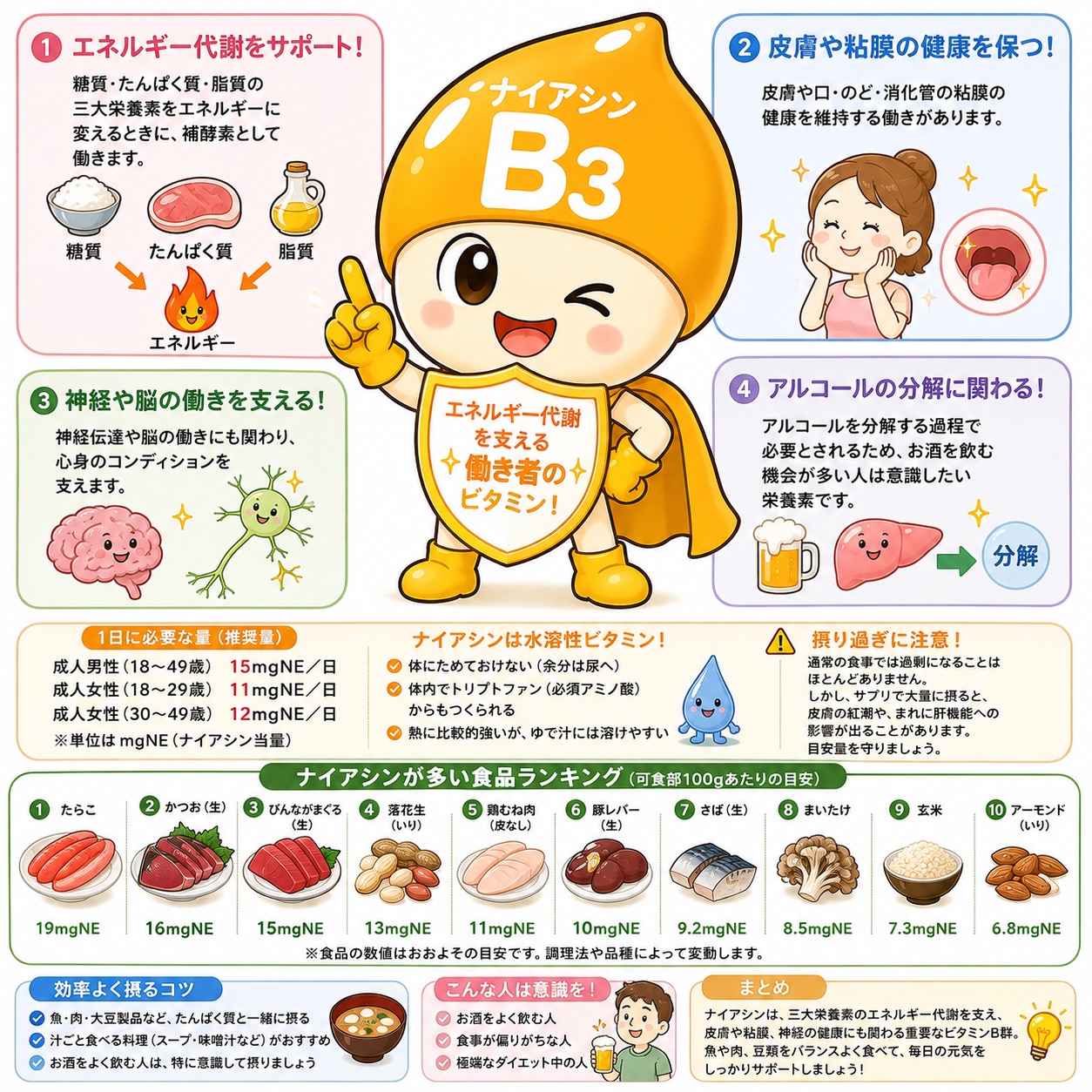 ナイアシン完全ガイド｜エネルギー代謝を支える働き者｜効果・必要量・おすすめ食材を徹底解説