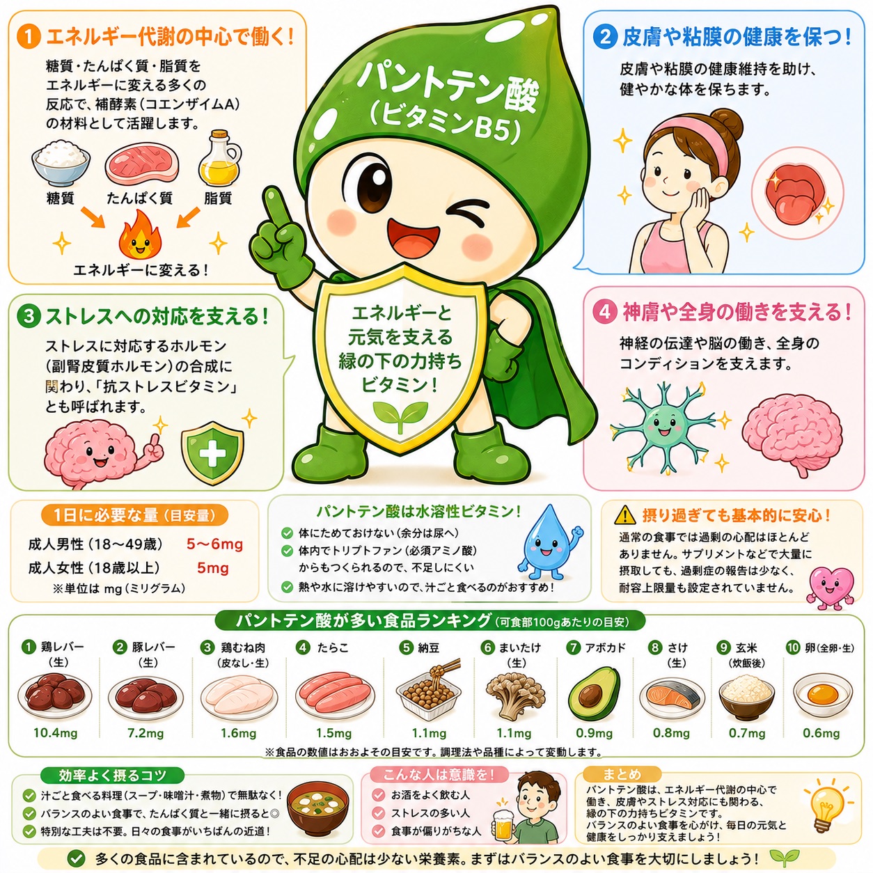 パントテン酸完全ガイド｜エネルギーとストレスを支えるビタミン｜効果・必要量・おすすめ食材を徹底解説